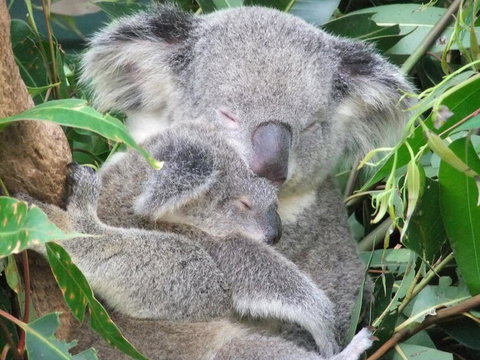 Crab Trip From Gold Coast - Darwin Holiday 25
