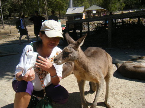 Crab Trip From Gold Coast - Darwin Holiday 2