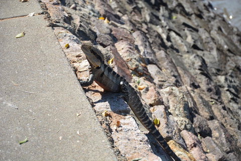 Crab Trip From Gold Coast - Darwin Holiday 18