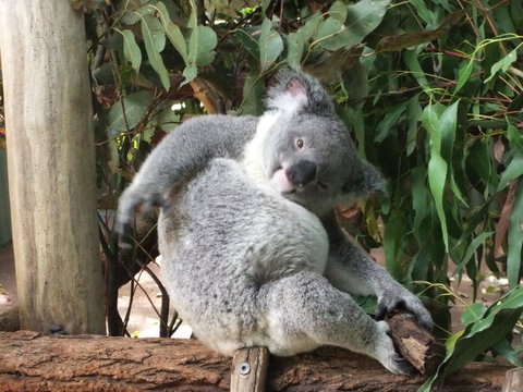 Crab Trip From Gold Coast - Darwin Holiday 20