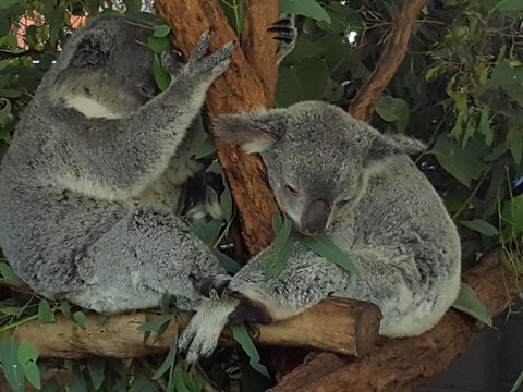 Crab Trip From Gold Coast - Darwin Holiday 6