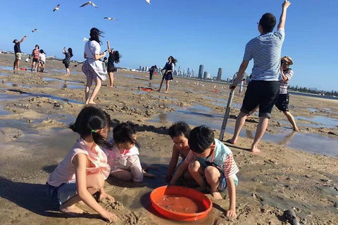 Crab Trip From Gold Coast - Darwin Holiday 32