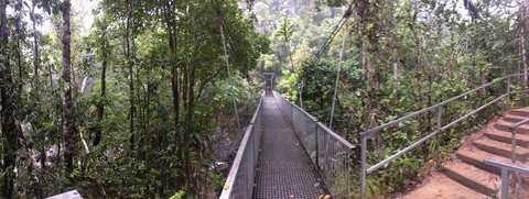 Cape Tribulation, Mossman Gorge, And Daintree Rainforest Day Trip From Cairns Or Port Douglas - Darwin Holiday 4