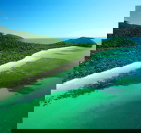 Cape Tribulation Mossman Gorge and Daintree Rainforest Day Trip from Cairns or Port Douglas - Darwin Holiday