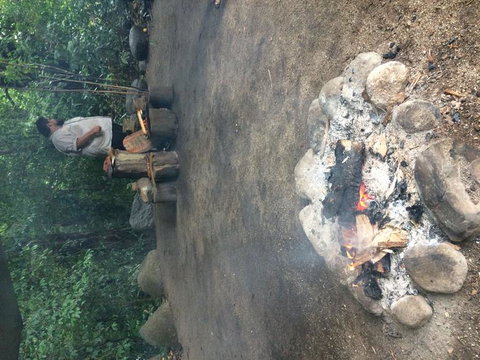Cape Tribulation, Mossman Gorge, And Daintree Rainforest Day Trip From Cairns Or Port Douglas - Darwin Holiday 6