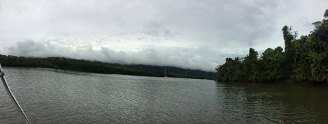 Cape Tribulation, Mossman Gorge, And Daintree Rainforest Day Trip From Cairns Or Port Douglas - Darwin Holiday 3