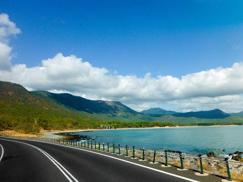 Cape Tribulation, Mossman Gorge, And Daintree Rainforest Day Trip From Cairns Or Port Douglas - Darwin Holiday 11