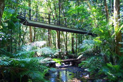 Cape Tribulation, Mossman Gorge, And Daintree Rainforest Day Trip From Cairns Or Port Douglas - Darwin Holiday 7