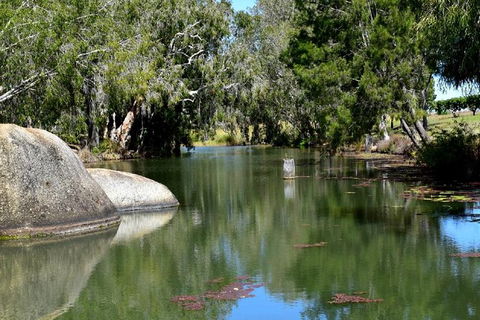 Daintree - Cape Tribulation & Atherton Tablelands Tours From Port Douglas - Darwin Holiday 28