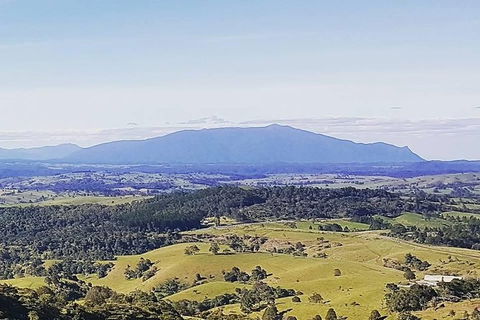 Daintree - Cape Tribulation & Atherton Tablelands Tours From Port Douglas - Darwin Holiday 10