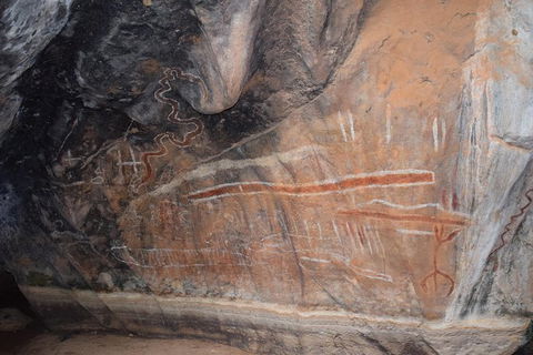 Daintree - Cape Tribulation & Atherton Tablelands Tours From Port Douglas - Darwin Holiday 15