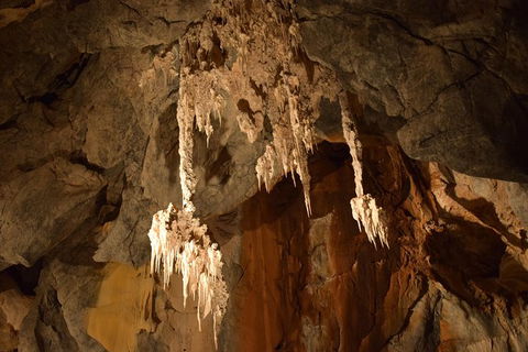 Daintree - Cape Tribulation & Atherton Tablelands Tours From Port Douglas - Darwin Holiday 23