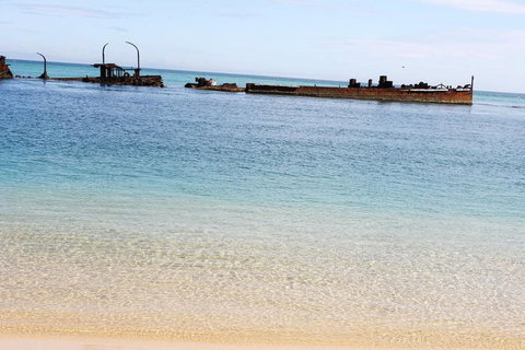 Moreton Island Snorkel And Sandboarding 4WD Day Trip From Brisbane - Darwin Holiday 3