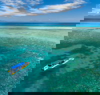 Ocean Safari Great Barrier Reef Experience in Cape Tribulation - Darwin Holiday