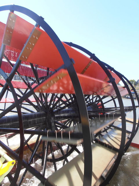 Brisbane River Lunchtime Cruise - Darwin Holiday 4