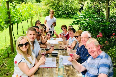 Mount Tamborine Wine Tasting Tour From Brisbane Or The Gold Coast - Darwin Holiday 0