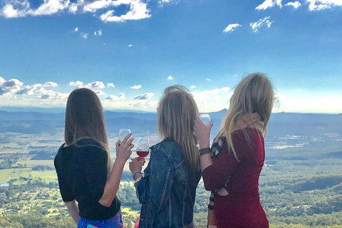 Mount Tamborine Wine Tasting Tour From Brisbane Or The Gold Coast - Darwin Holiday 7