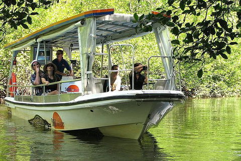 Cairns Reef And Rainforest Combo: Daintree Rainforest And The Great Barrier Reef - Darwin Holiday 5