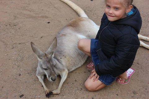 Gold Coast Attraction Pass Including Currumbin Wildlife Sanctuary And Paradise Jetboating - Darwin Holiday 3