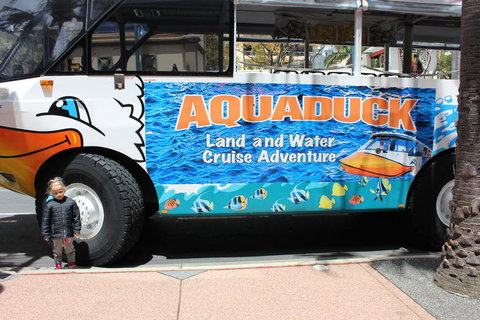 Gold Coast Attraction Pass Including Currumbin Wildlife Sanctuary And Paradise Jetboating - Darwin Holiday 2