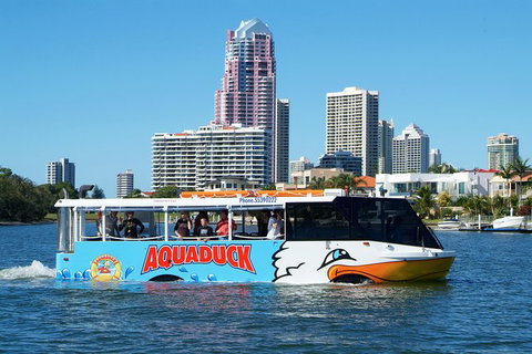 Gold Coast Attraction Pass Including Currumbin Wildlife Sanctuary And Paradise Jetboating - Darwin Holiday 5