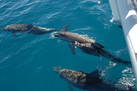 Fraser Island & Dolphin Sailing Adventure - Darwin Holiday 2