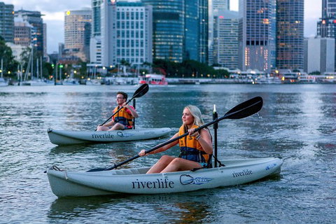 Brisbane Kayak Tour - Darwin Holiday 3