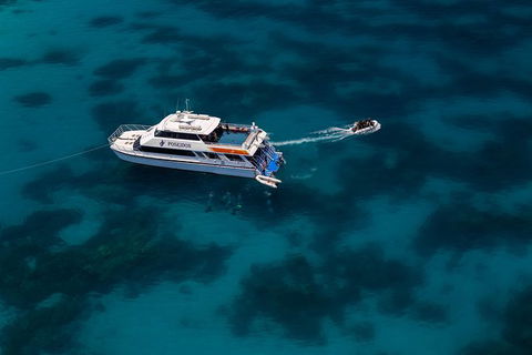 Quicksilver Dive 4 Day PADI Learn To Dive Course - Darwin Holiday 5