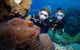 Quicksilver Dive 4 Day PADI Learn To Dive Course - thumb 2
