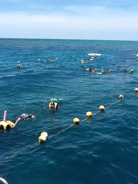 Quicksilver Outer Great Barrier Reef Snorkel Cruise From Port Douglas - Darwin Holiday 2