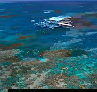 Quicksilver Outer Great Barrier Reef Snorkel Cruise from Port Douglas - Darwin Holiday