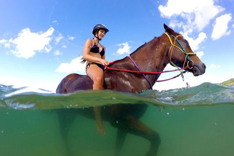 Horse Swimming Ride From Rainbow Beach - Darwin Holiday 1