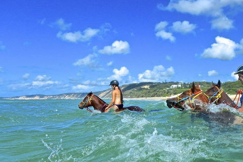 Horse Swimming Ride From Rainbow Beach - Darwin Holiday 0