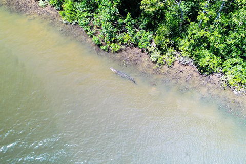 1-Hour Daintree River Wildlife Cruise - Darwin Holiday 11