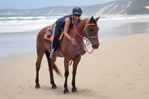 Rainbow Beach Horse Ride - Darwin Holiday 2