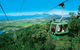 Kuranda Full-Day Small-Group Tour From Port Douglas - thumb 0
