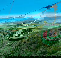 Kuranda Full-Day Small-Group Tour from Port Douglas - Darwin Holiday