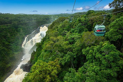 Kuranda Full-Day Small-Group Tour From Port Douglas - Darwin Holiday 13