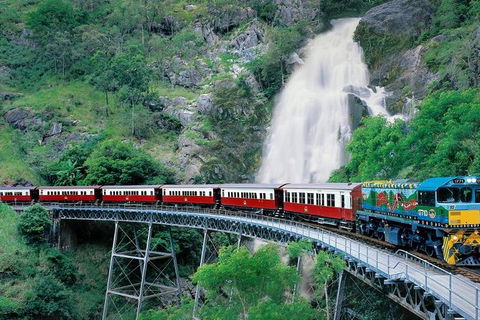 Kuranda Full-Day Small-Group Tour From Port Douglas - Darwin Holiday 11