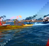 Port Douglas Half-Day Kayak Tour - Darwin Holiday