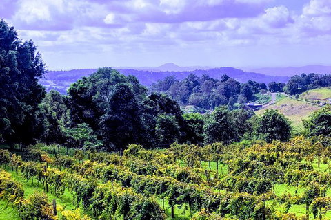 Queensland Food Tour: Farm-to-Table Indulgence - Darwin Holiday 6