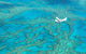 Scenic Flight - Great Barrier Reef, Heart Reef, Whitehaven Beach & Hill Inlet! - thumb 8
