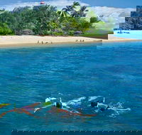 Wavedancer Low Isles Great Barrier Reef Sailing Cruise from Port Douglas - Darwin Holiday