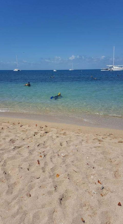 Wavedancer Low Isles Great Barrier Reef Sailing Cruise From Port Douglas - Darwin Holiday 7
