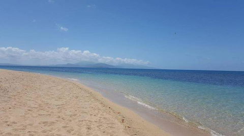 Wavedancer Low Isles Great Barrier Reef Sailing Cruise From Port Douglas - Darwin Holiday 6