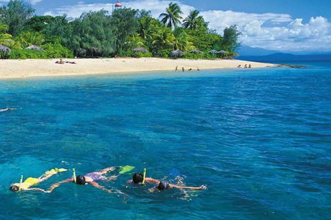 Wavedancer Low Isles Great Barrier Reef Sailing Cruise From Port Douglas - Darwin Holiday 12