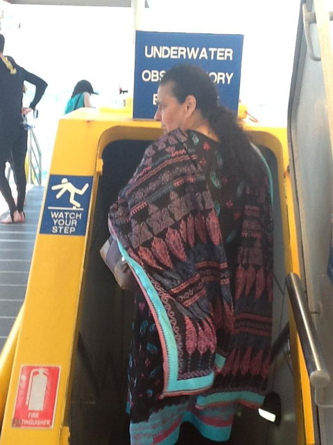 Quicksilver Outer Great Barrier Reef Snorkel Cruise From Palm Cove - Darwin Holiday 3