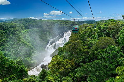 Skyrail Rainforest Cableway Day Trip From Port Douglas - Darwin Holiday 0