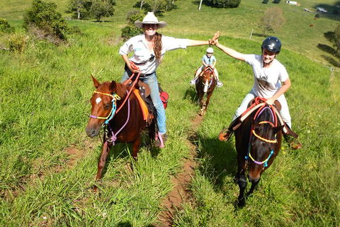 Country Day Ride From Mt Goomboorian With Rainbow Beach Horse Rides - Darwin Holiday 0