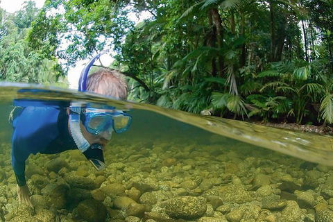 Mossman River Drift Snorkelling From Port Douglas Or Mossman - Darwin Holiday 1